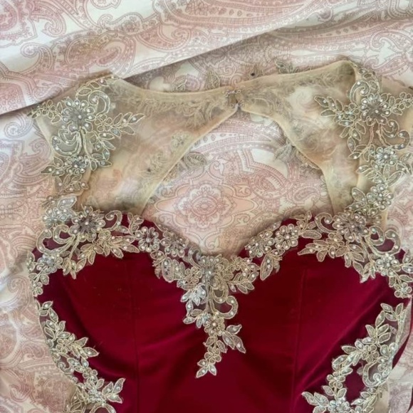 Stunning Red and Gold dress - Picture 3 of 6